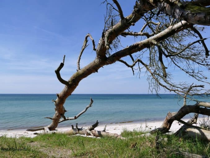 Fischland, Darß, Zingst